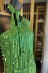 VESTIDO VERDE LANTEJOULAS | ELISABETTA FRANCHI